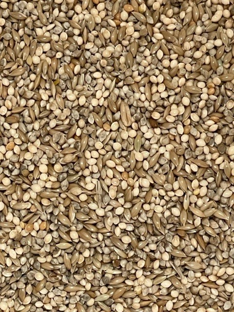 2kg Budgie Seed Mix - Click Image to Close